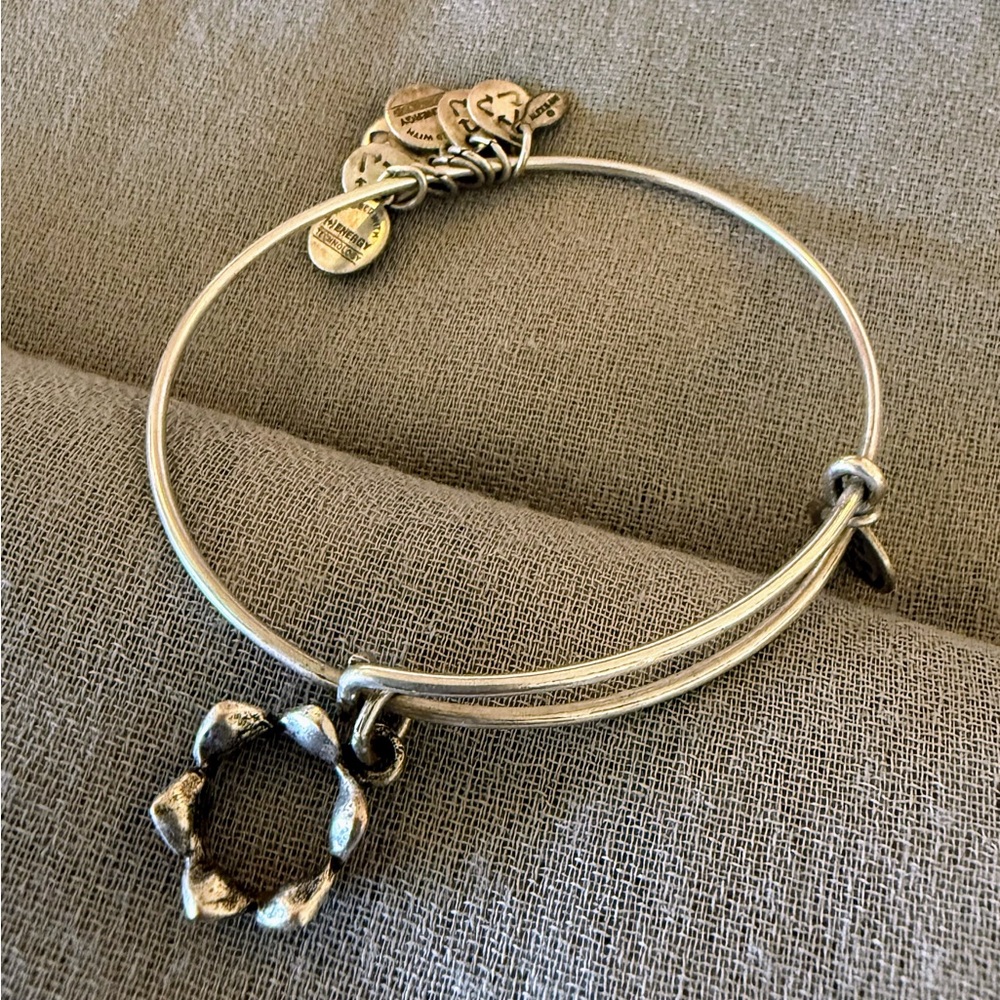 Alex and Ani Silver Charm Bangle Bracelet - Picture 4 of 4